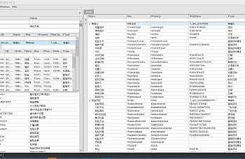金蝶云星空-K3cloud 数据字典工具下载,工具相当不错!方便维护数据库后台,二次开发,开发插件等等。